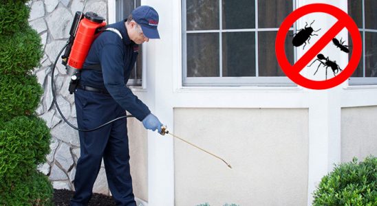 Tosya Kemirgen İlaçlama böcek ilaçlama ve haşere kontrolü — ilaclama-tr.com